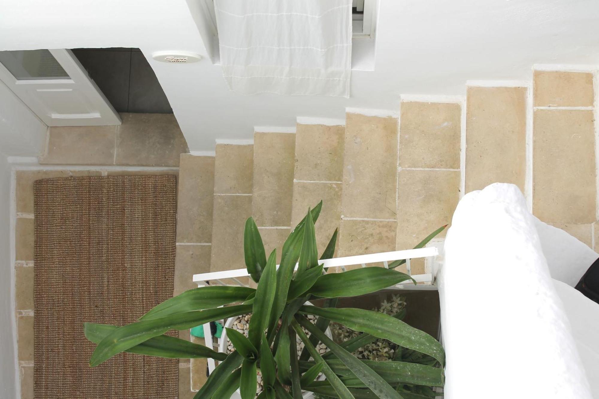 Couette-café Palmieri Luxury